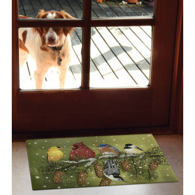 https://assets.wfcdn.com/im/20232733/resize-h380-w380%5Ecompr-r70/6501/65015160/Non-Slip+Christmas+Outdoor+Doormat.jpg