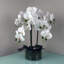 Plastic, Silk Artificial Arrangement in Planter-88685014