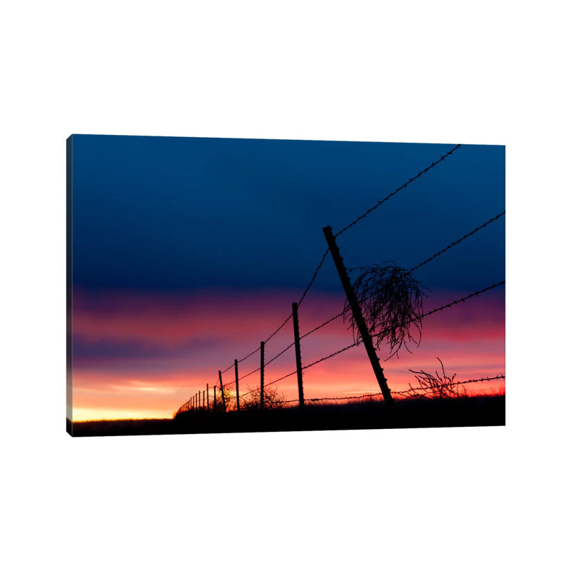 Tumble Weed by Dan Ballard - Wrapped Canvas Print, 152.5 cm H x 101.5 cm W