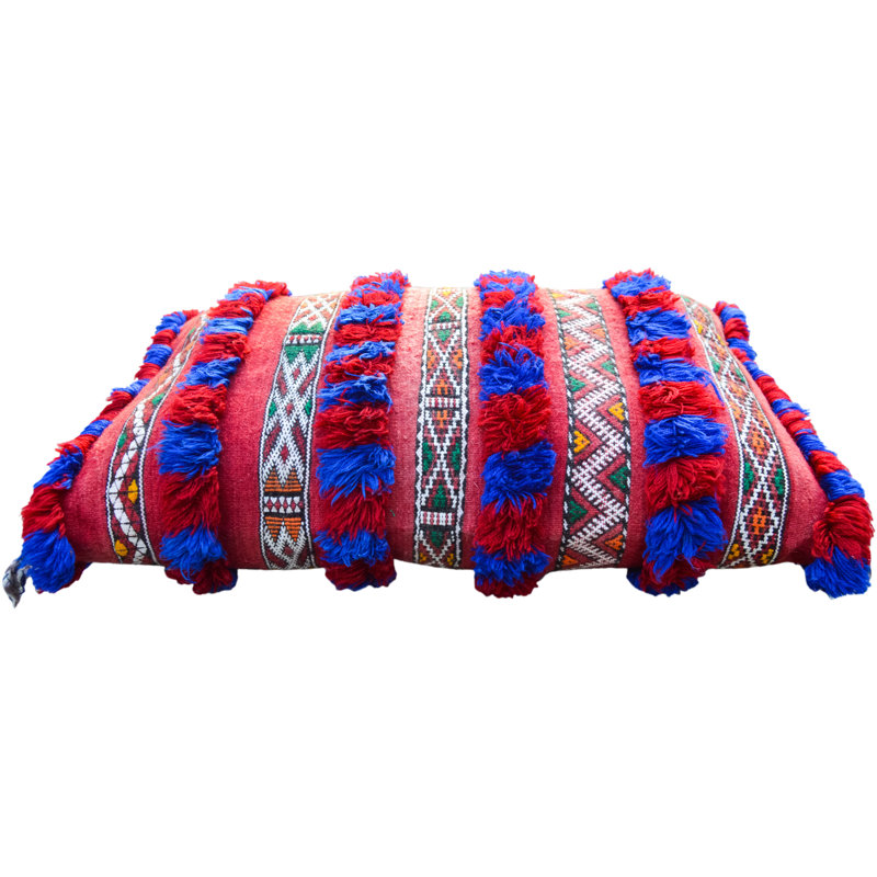 Fringed Reversible Throw Pillow
