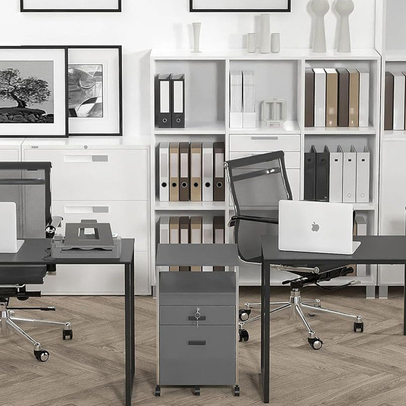 Rolling Mobile File Cabinet with 2 Drawers & Open Shelf, Mobility, 1 File Cabinet Drawer & 1 Lockable Drawer, Gray