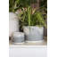 Pot Marengo 5,5 po x 4,25 po