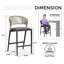 Tabouret de bar avec coussin-521399432