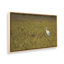 «Everglades National Park» par Nathan Larson, reproduction d'art sur toile
