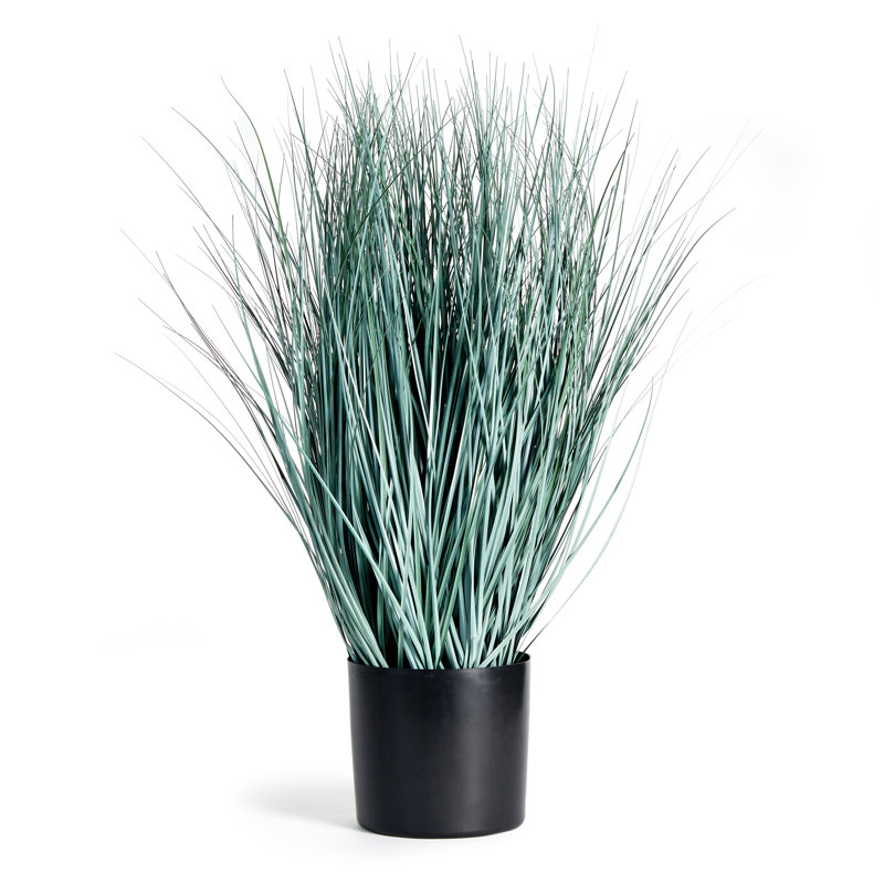 32'' Faux Blue Oat Grass in Black Round Pot