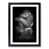 Black Framed