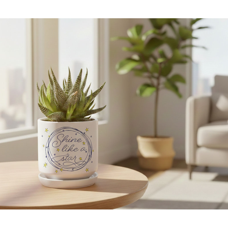Planter Shine Like A Star