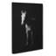 White Horse Vol.2 - Wrapped Canvas-61876276