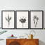 Encre botanique croquis II-457479930-457479932