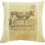Tanisha Square Cushion