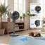 Air Circulator Fan-124562705