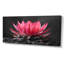 Cactus rose, gris, beauté florale - décoration murale cactus floral-1405995148-1569015999