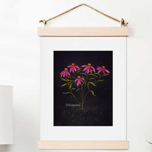 « herb jardin echinacea », impression, H 14 po x l 11 po x P 0,13 po