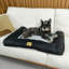 Pet Bed-61710880