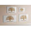 Magnetic Glass Dry Erase Board