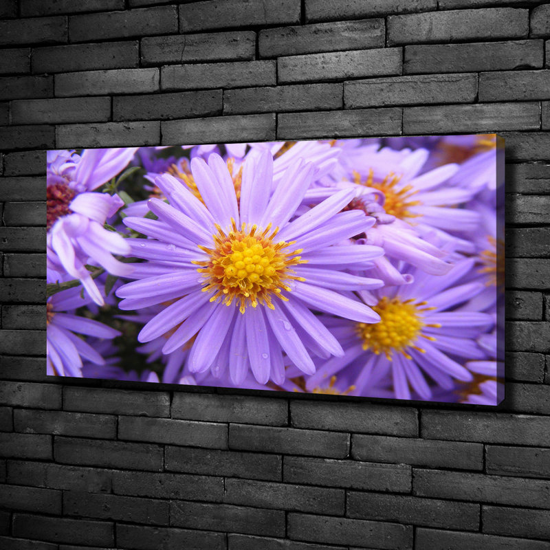 Astra - No Frame Print on Canvas