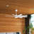 Babrak 65'' Ceiling Fan with LED Lights-756072391