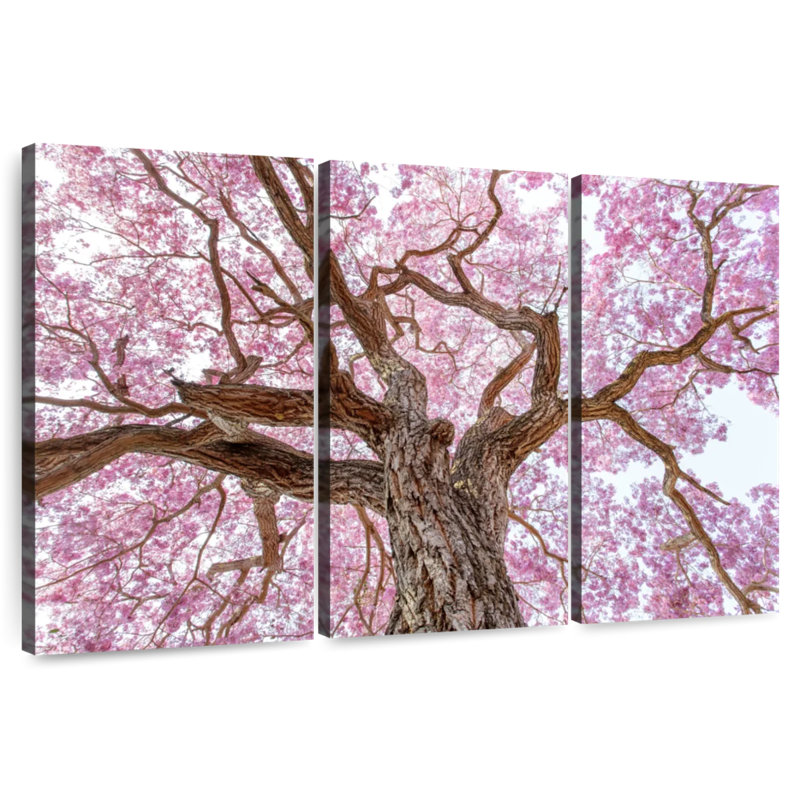 Harnek Sakura Cherry Tree, 32" H x 50" W