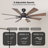 SkyFan Procyon 60" 8-Blade Ceiling Fan-1915964825