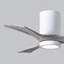 Irene LED Ceiling Fan-99192958-98977005-24425152