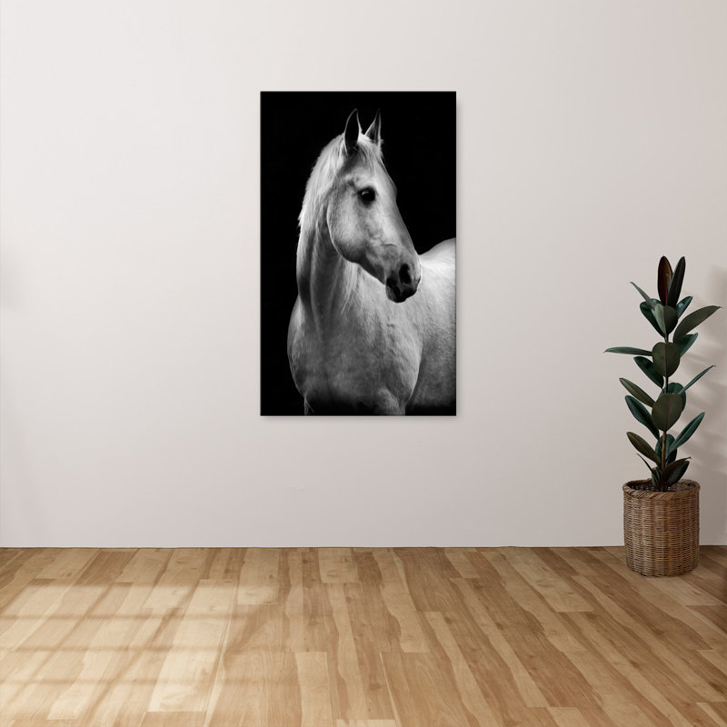 Reproduction sur toile, "White Mare Drama" par Danita Delimont, H 40 po x l 24 po x P 1,5 po