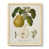 Toile avec cadre naturel