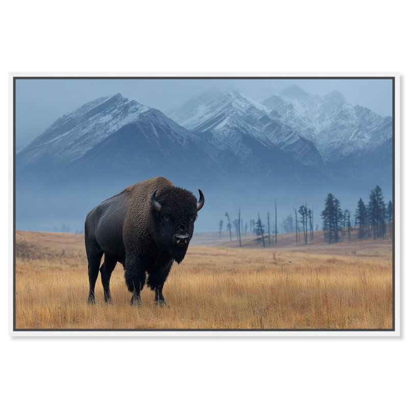 Mountain Bison I Print by Oliver Gal, 11" H x 16" W, White Floater Frame