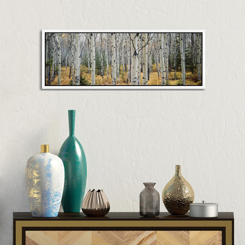 Aspen Trees In A Forest Alberta, Canada by Panoramic Images - Wrapped Canvas Panoramic Print, White Floater Framed