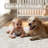 Elegant Modern Machine Washable Area Rug in Beige-111686872