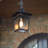 Clora Outdoor Hanging Lantern