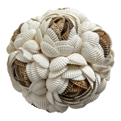 Decorative Flower Shell Orb Object for Coastal Home Decor - Modern Accent Display for Living Room or Table Decoration - Set of 2, 5", 4", Brown & Ivory