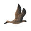 Ensemble de 3 décorations murales d'oiseaux en mouvement, décoration intérieure pour salon, salle à manger, bureau, chambre à coucher