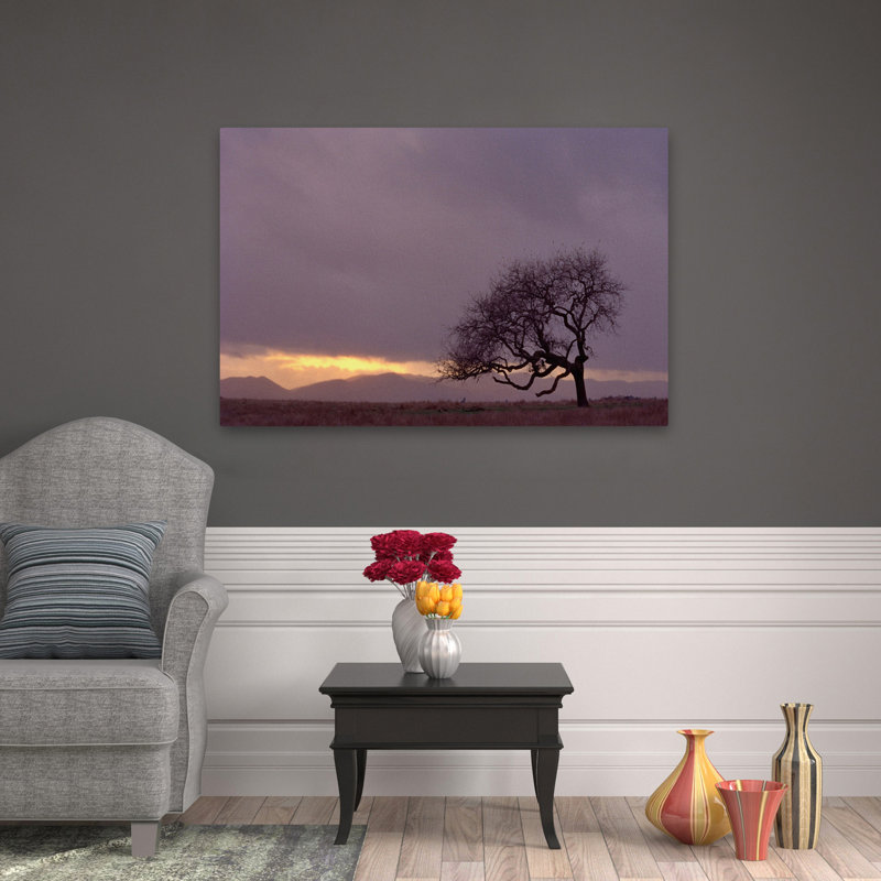Champ - paysages, arbres, photographie, H 32 po x l 48 po