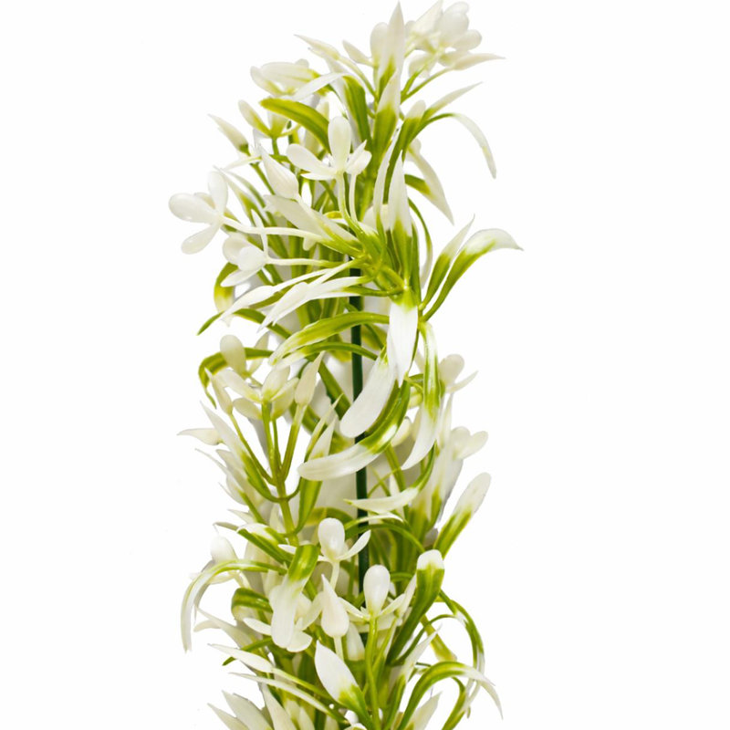 45 Plant, 1