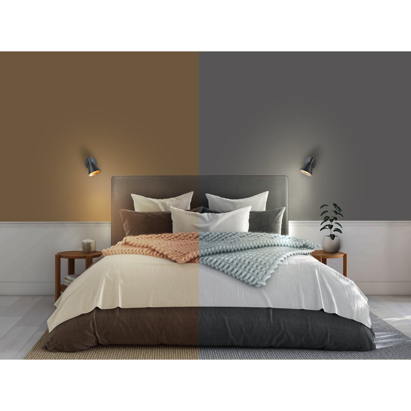 Kennert Spotlight, Black/Gold