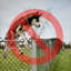 42'' H Pet Barrier