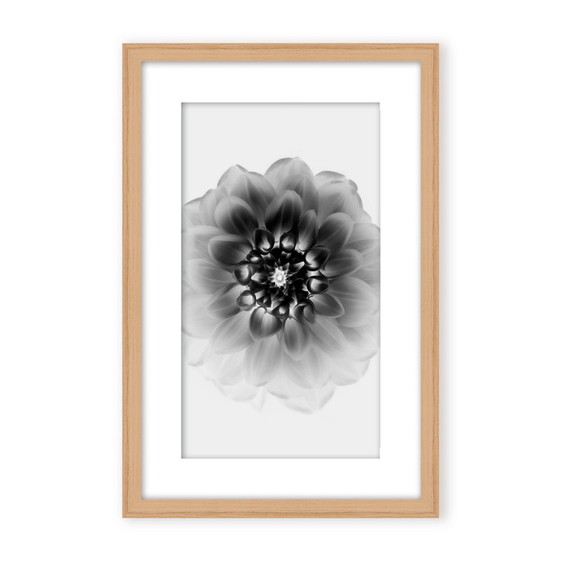 X-Ray Print by Alex Zhao, 36" H x 24" W x 1.125" D, Framed Matted Print, Gold