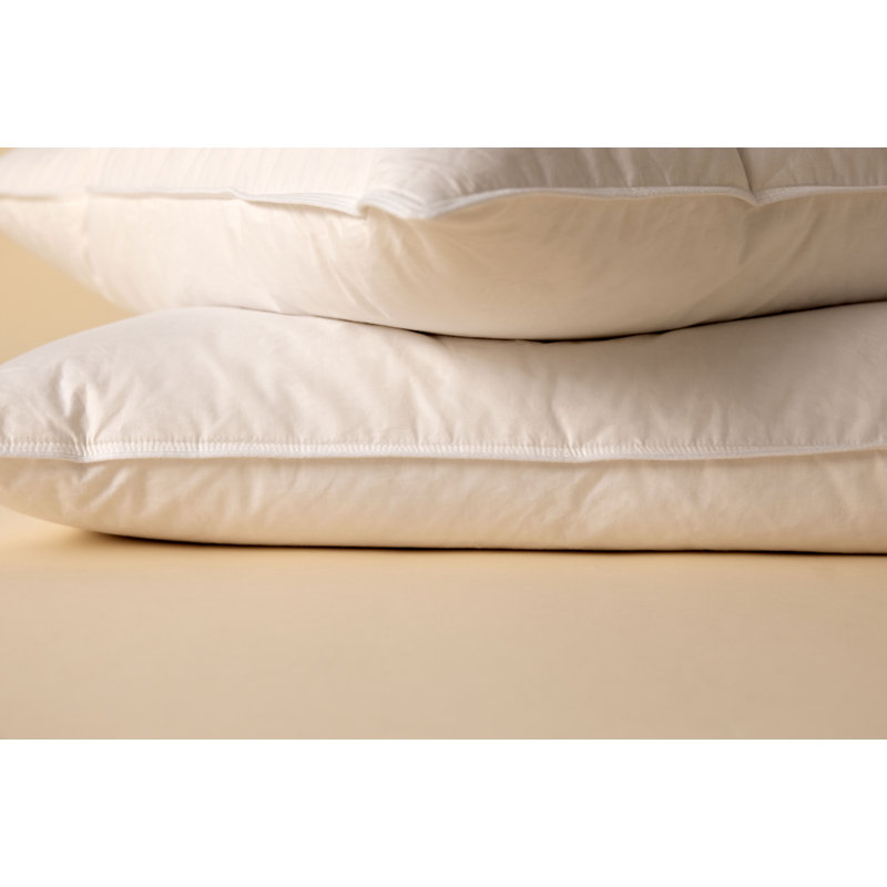 Home Range Goose Feather & Down Pillow Pair