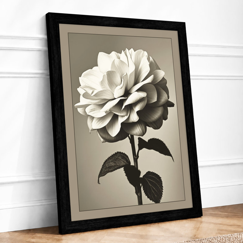Rose Study Botanical - Framed Print, A4 - 29.7 x 21.0 cm, Black