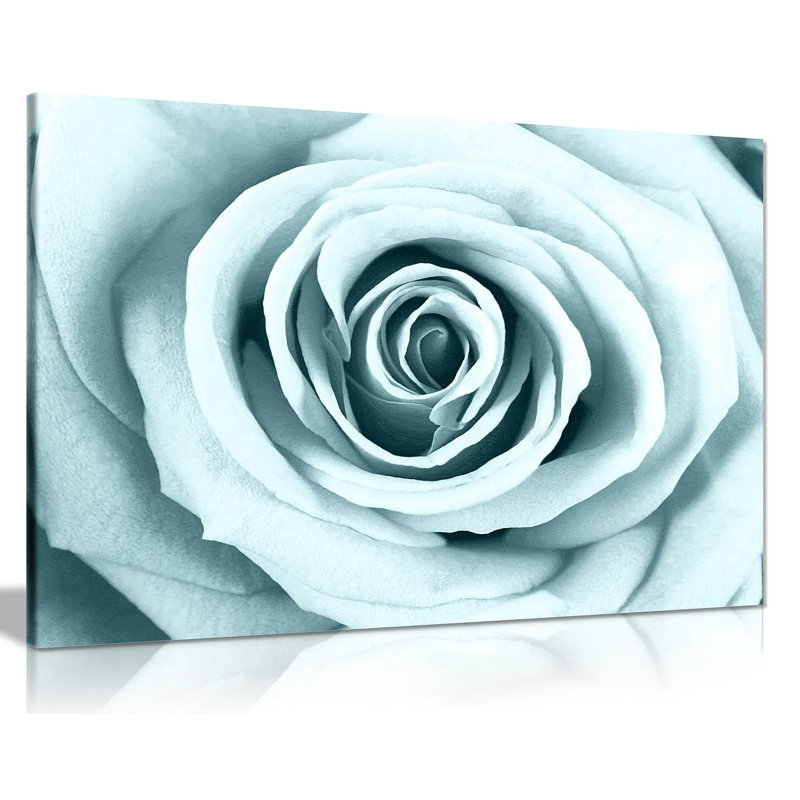 Duck Egg Rose - Wrapped Canvas Print, 31cm H x 46cm W