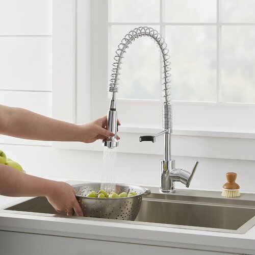 Gerber Parma Pull Down Single Handle Kitchen Faucet & Reviews | Wayfair