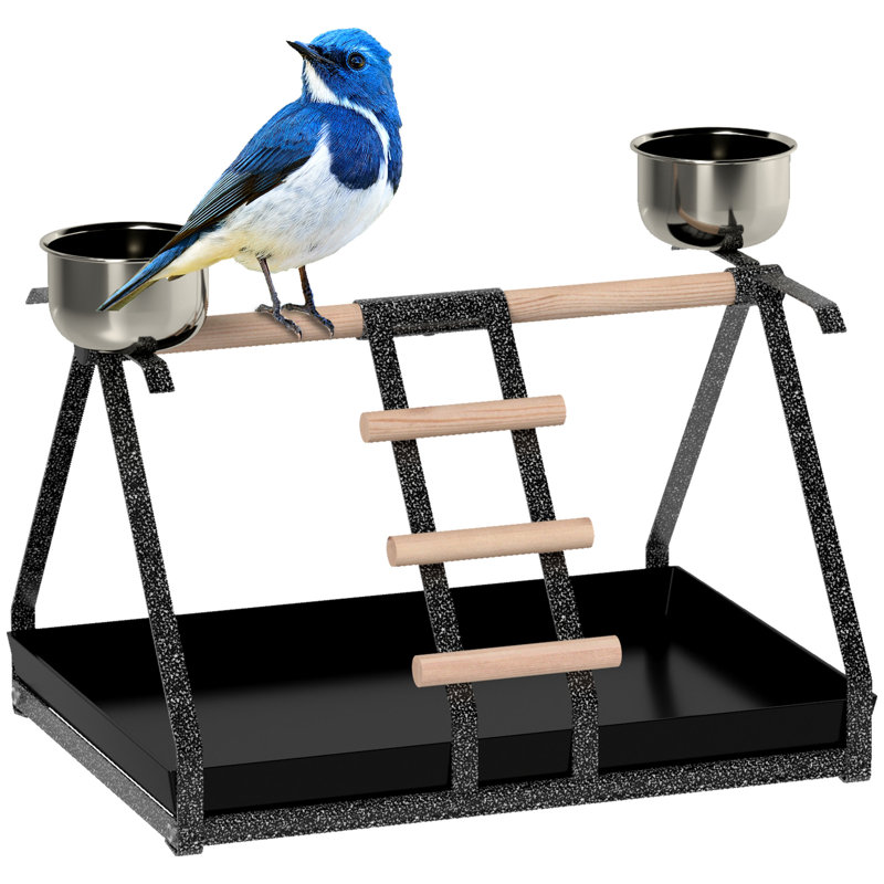 Galle 27cm Metal Bird Play Stand for Table Top