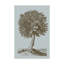 «Antique Tree in Sepia I», reproduction d'art sur toile tendue-2135425319