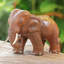 Rain Tree Wood Figurine