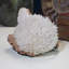 Landscape & Nature Crystal