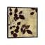 «Leaf Study», impression sur toile-31852734-73215568-73215569