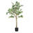 Artificial Ficus Tree With Black Plastic Pot-552980803