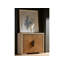 Modern Veil 42" Wide Veil Oak and Figured Haze Walnut Soft Close Doors Hall Chest-526657983