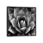«Succulent II», impression sur toile-29173991-72795407-72795408