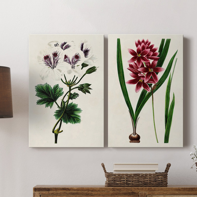 AntiqueFloralFolioIX-Premium Gallery Wrapped Canvas -Ready to Hang, 18" H x 24" W